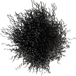 ?f=OS0008509163-190495