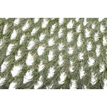 ?f=HU598896001-50251