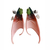 Superbe Paire de 2 oreilles