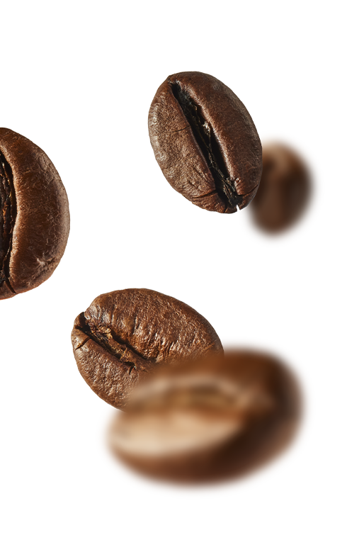 crea saveur cafe decouverte bg cafe gauche