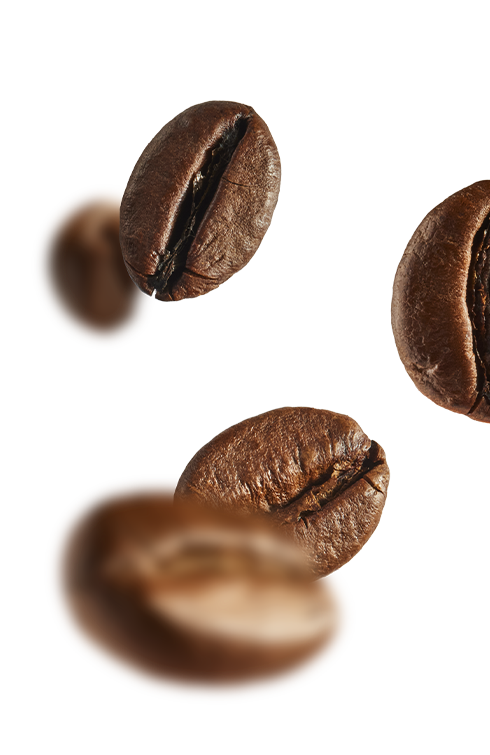 crea saveur cafe decouverte bg cafe droite