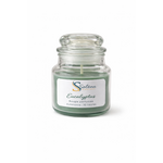 bougie parfumé (9)