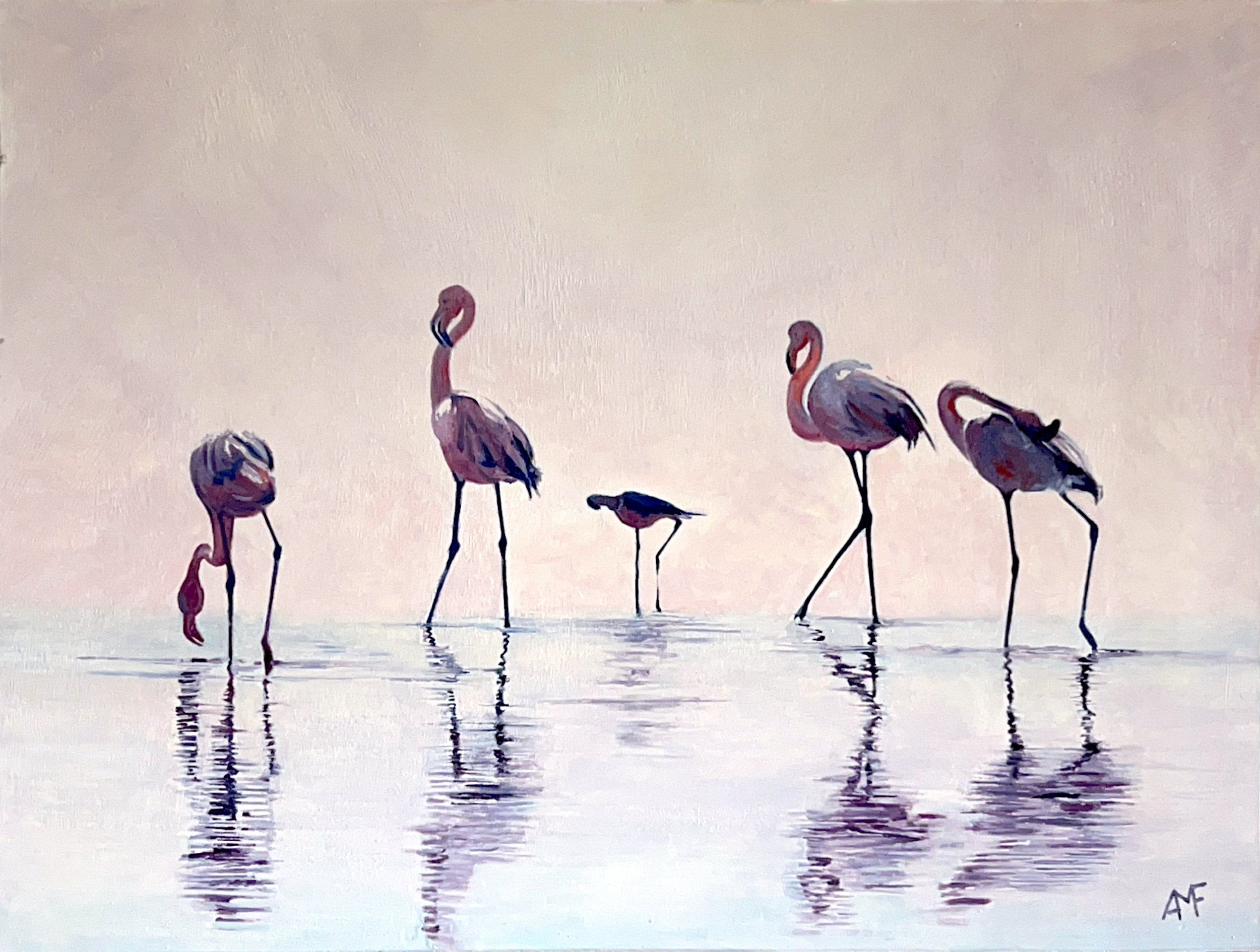 Flamands au point du jour