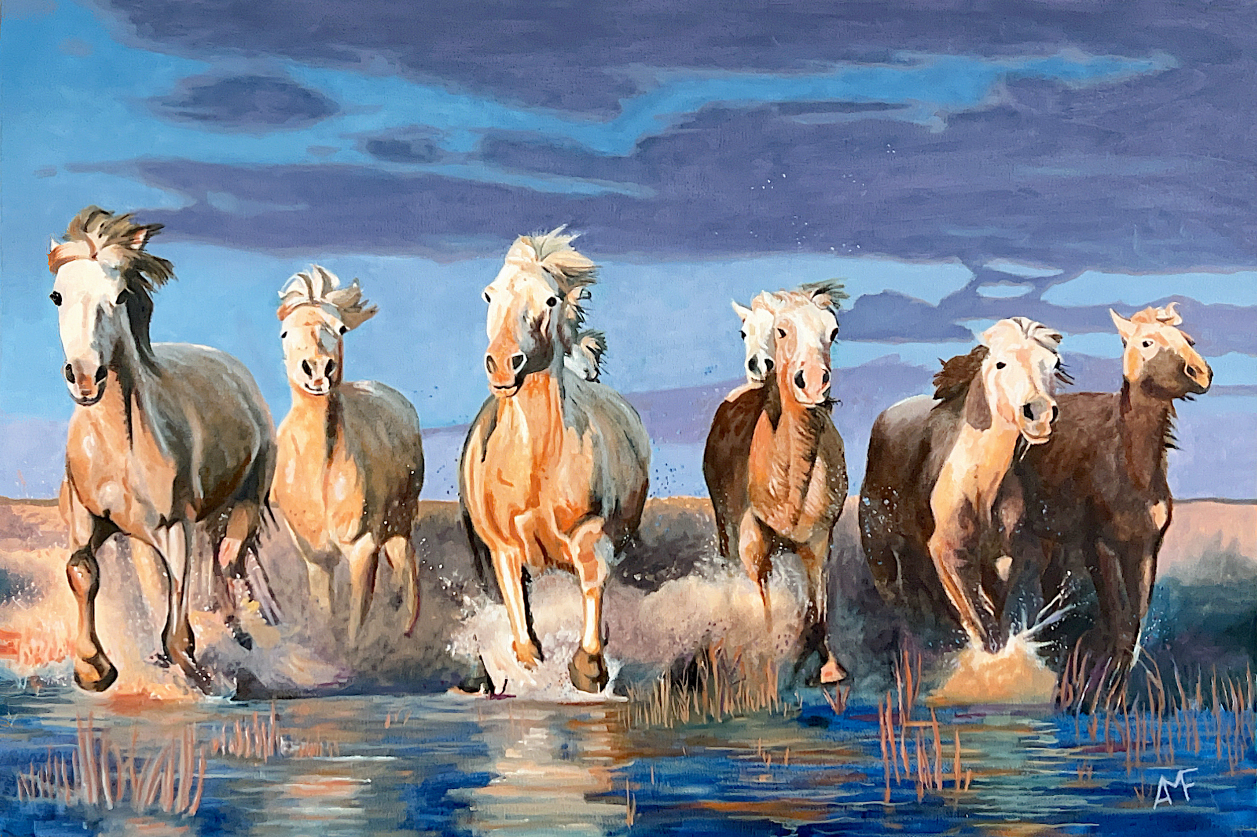 Cavalcade