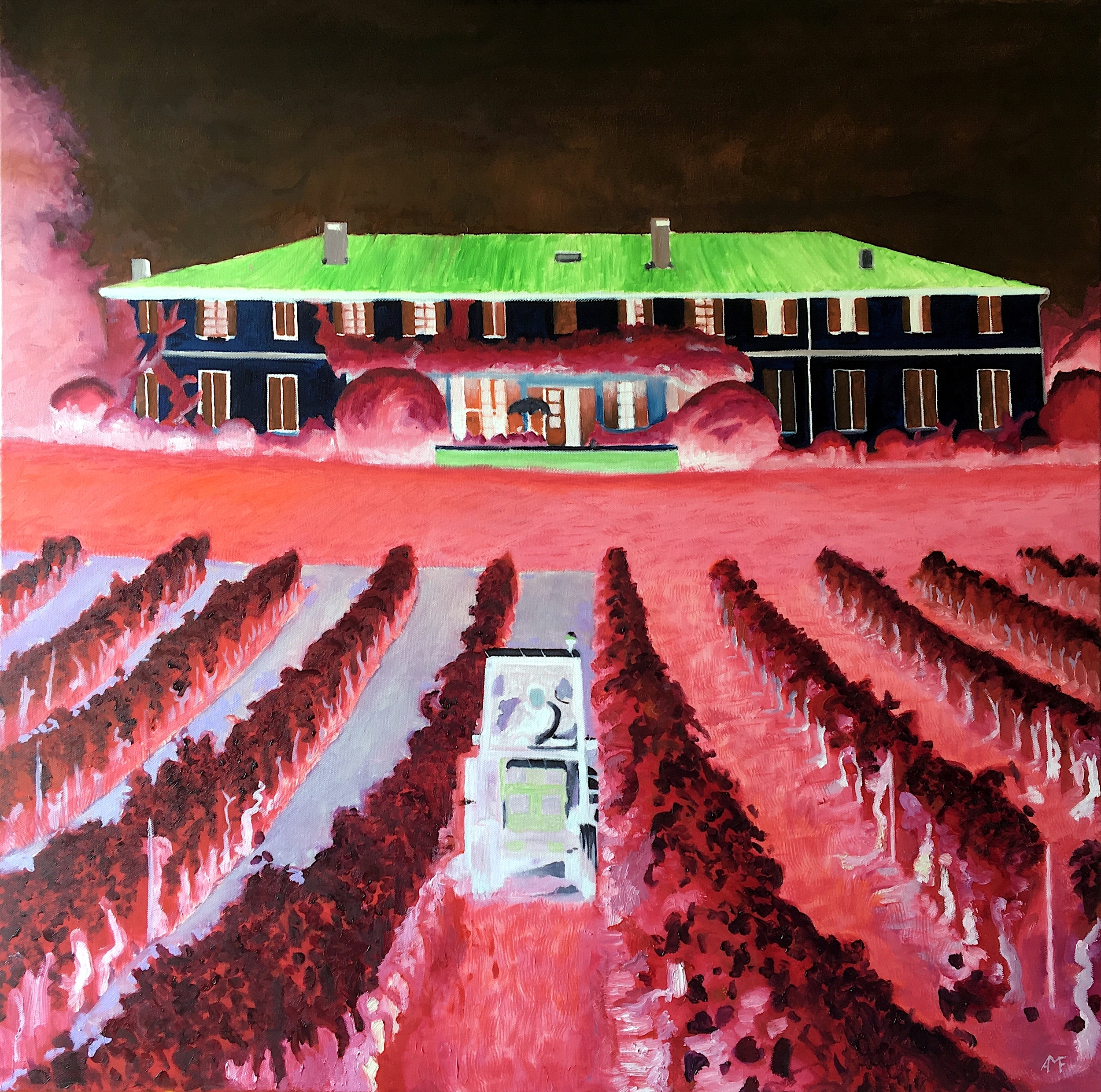 Martian vineyard