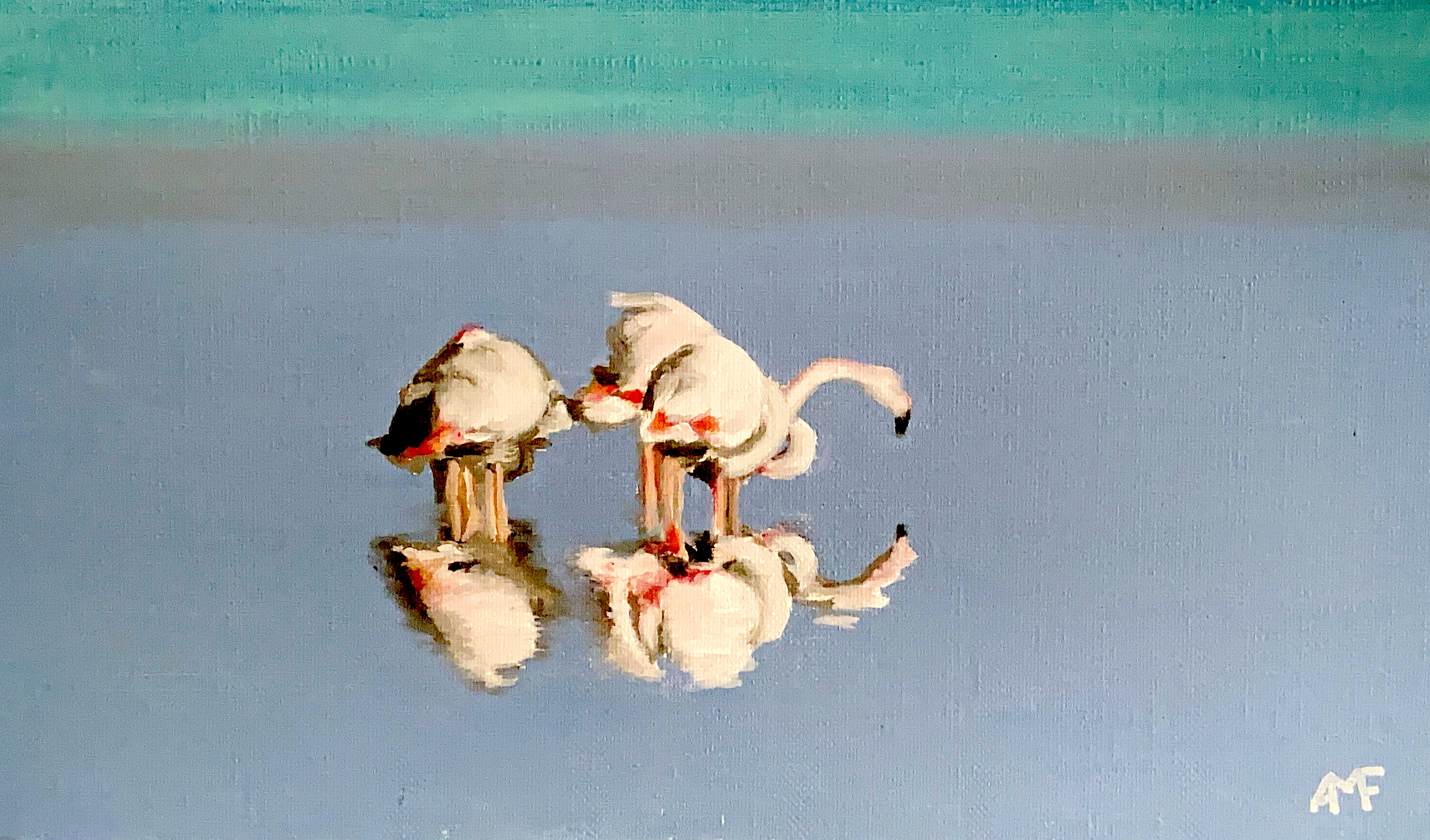 Flamants au repos