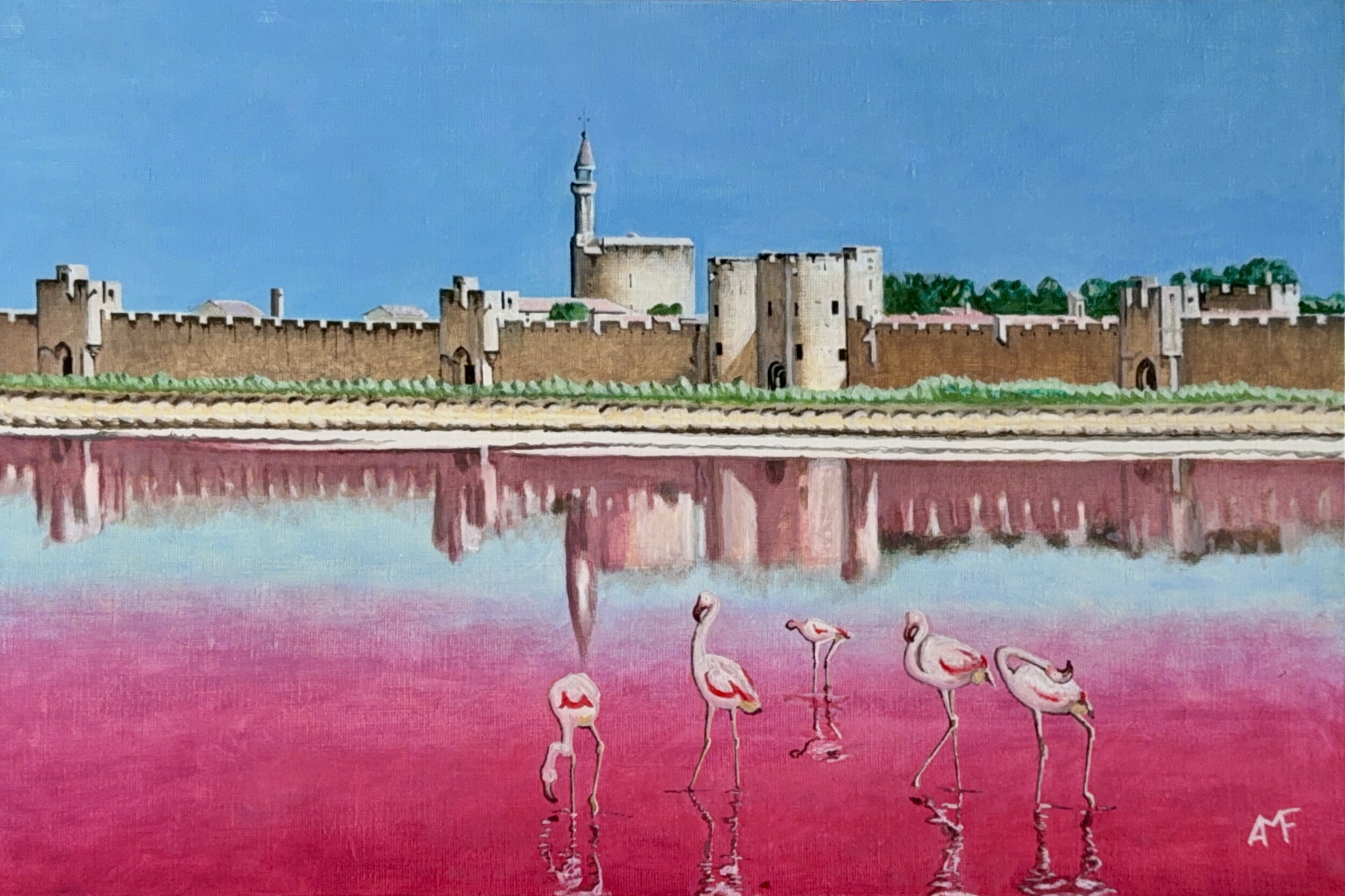 Aigues Mortes