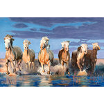 Cavalcade