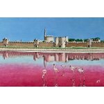 Aigues Mortes