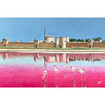 Aigues Mortes
