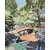 Jardin japonais