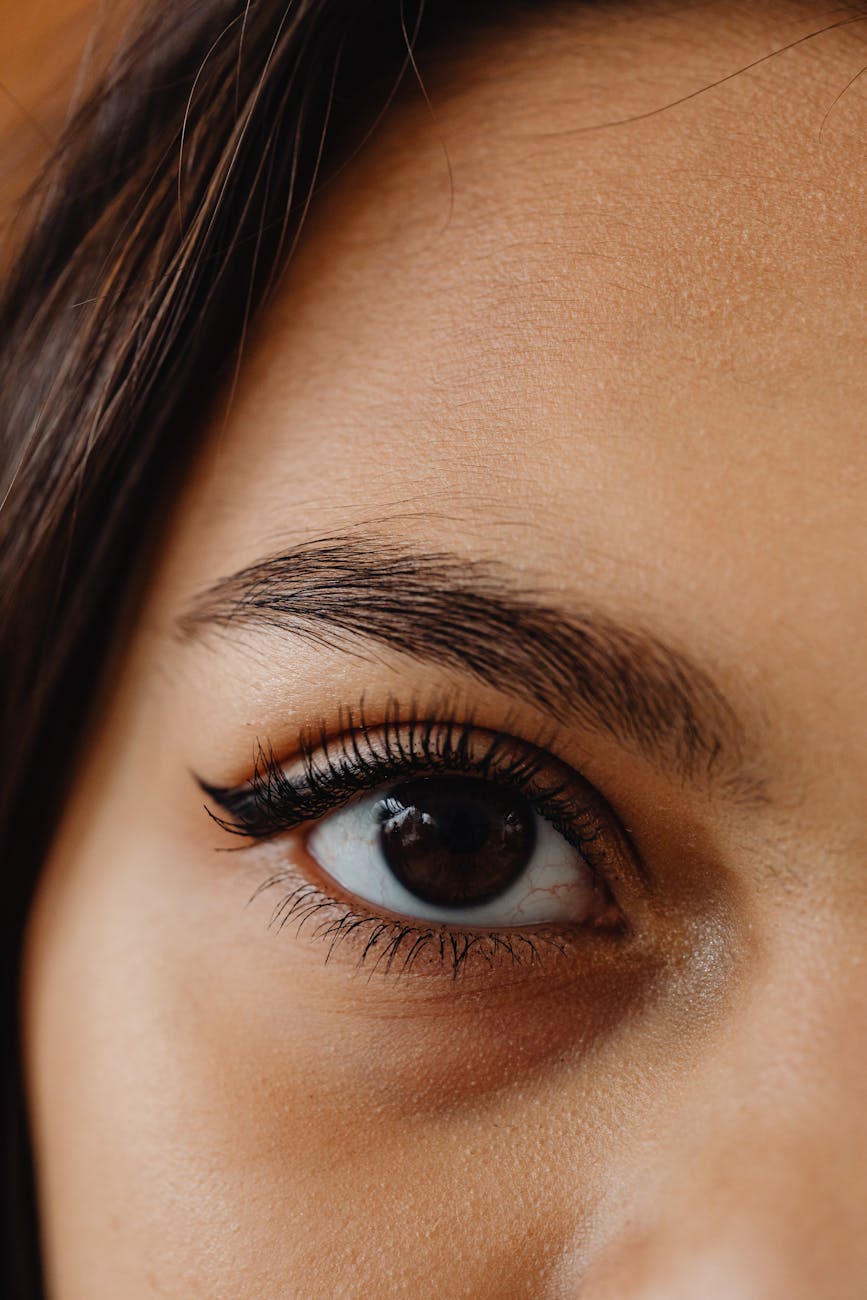 photos gratuites de aspect naturel beaute brune