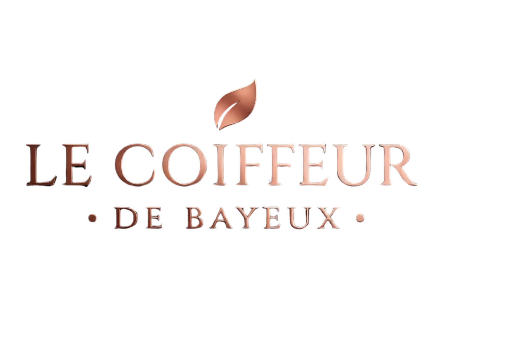 Le coiffeur de Bayeux            