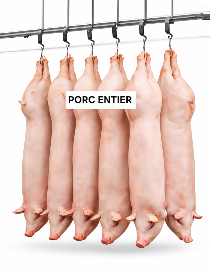 Porc entier environ 20 kg pour découpe et préparation