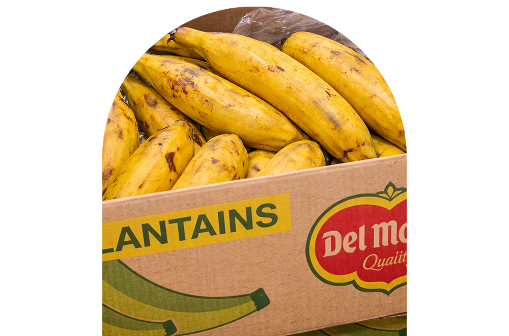 grossiste en produits alimentaires du monde