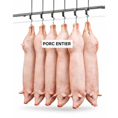 Porc entier environ 20 kg pour découpe et préparation