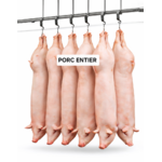 Porc entier environ 20 kg pour découpe et préparation