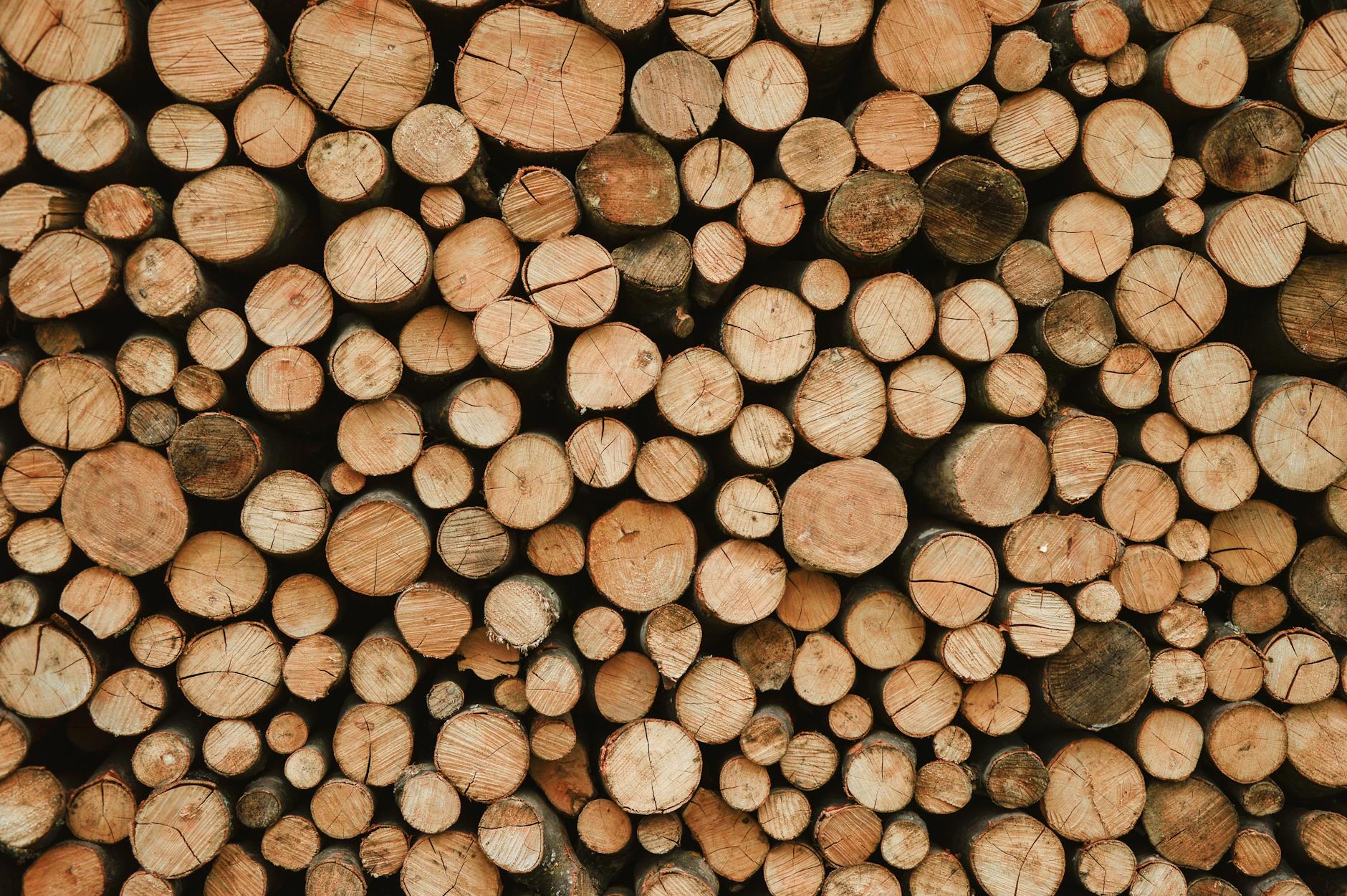 close up view of stacked wood logs showcasing natural textures and patterns