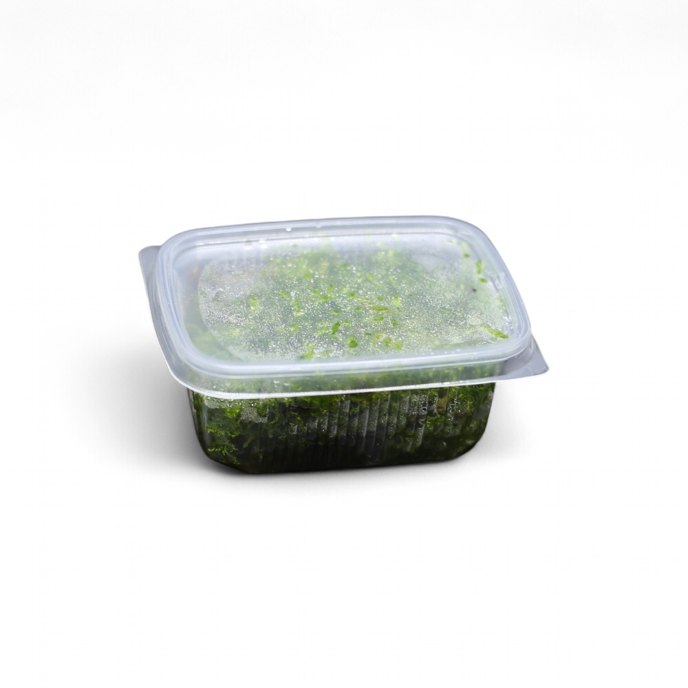 taxiphyllum-sp-mousse