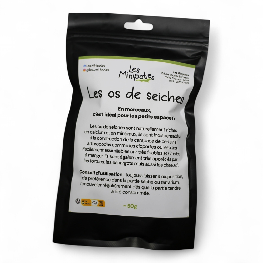 os-de-seiche-morceaux
