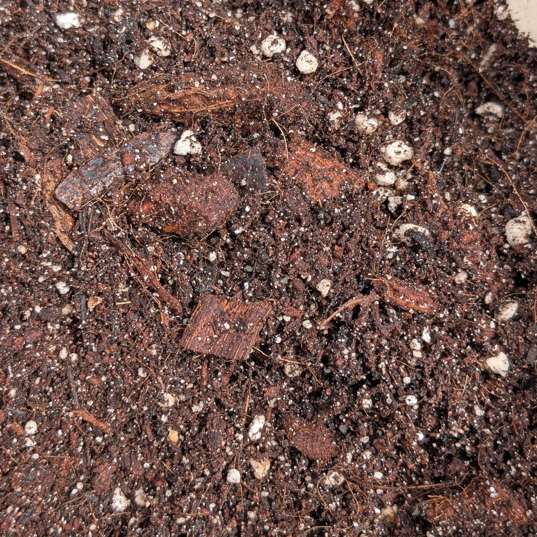 Substrat plantes