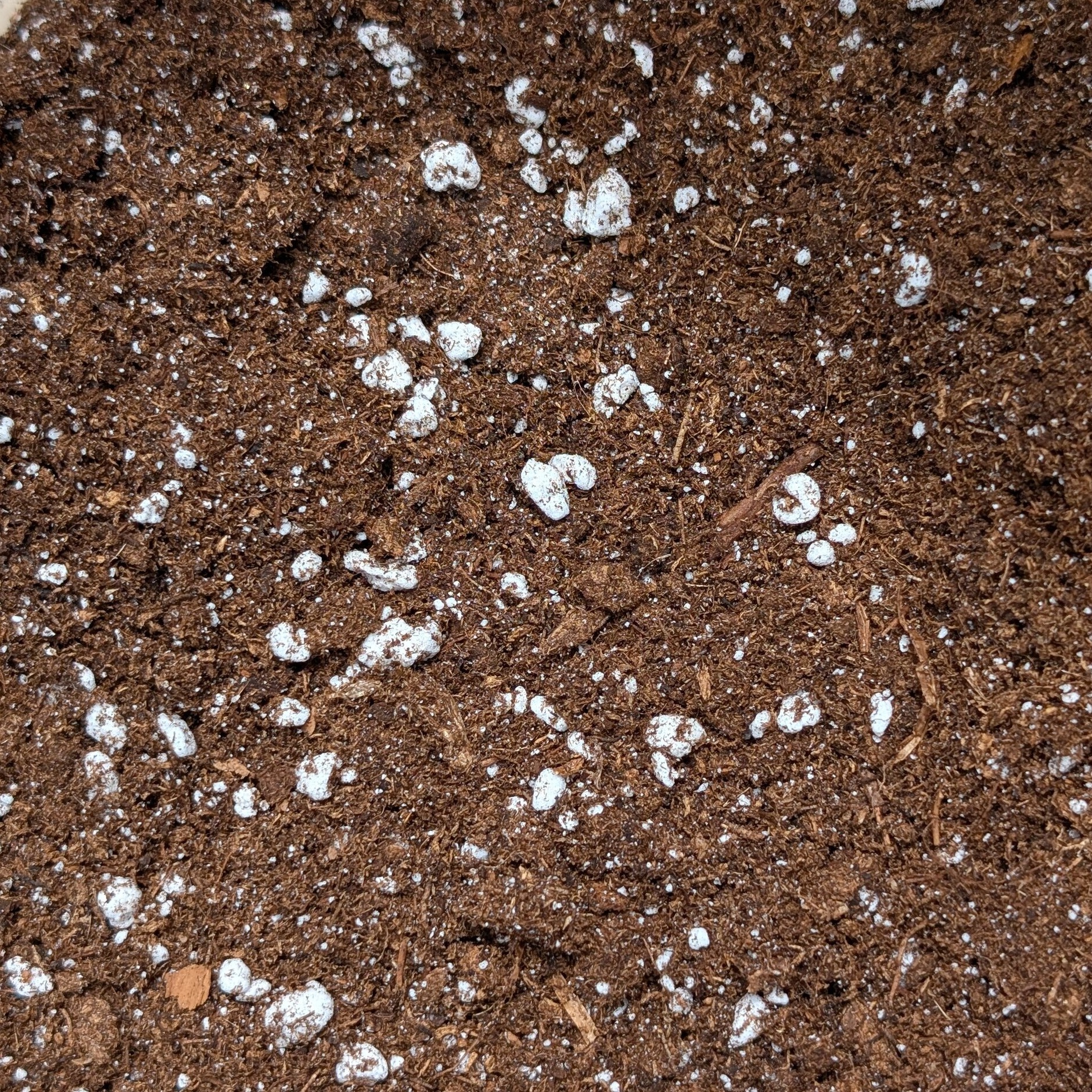 Substrat plantes carnivores