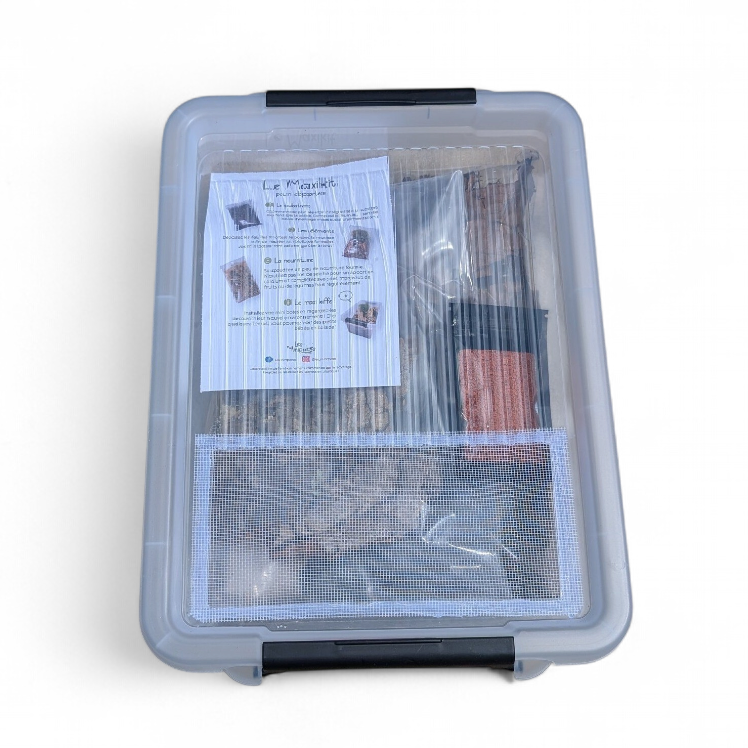 maxikit-cloportes-les-minipotes