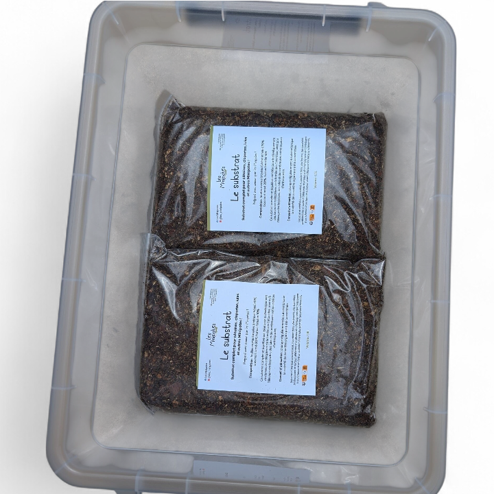 maxikit-cloportes-les-minipotes