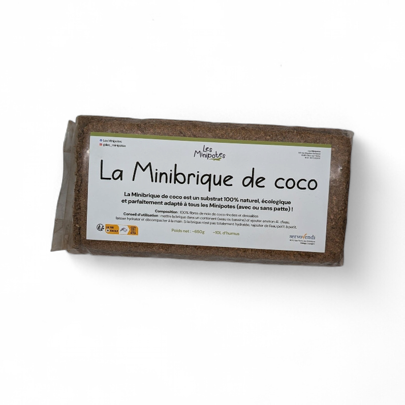 brique-de-coco
