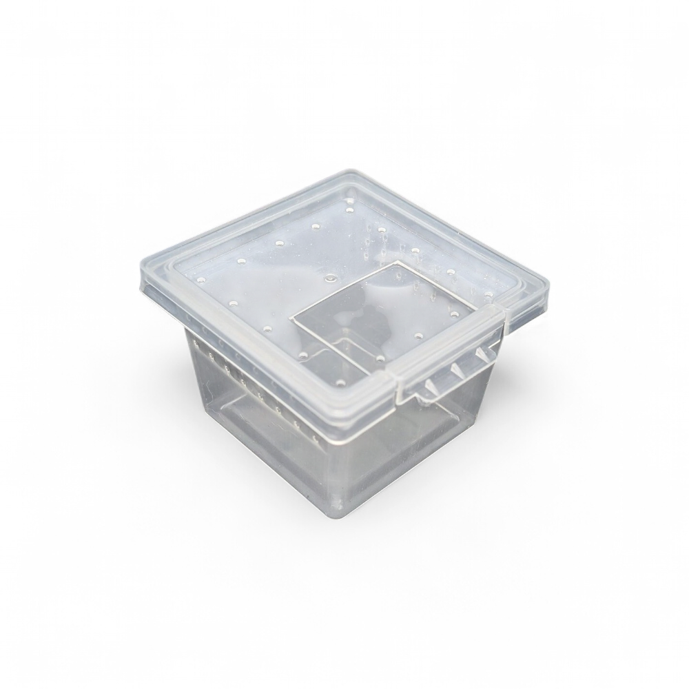 boite-d-elevage-araignee-s4