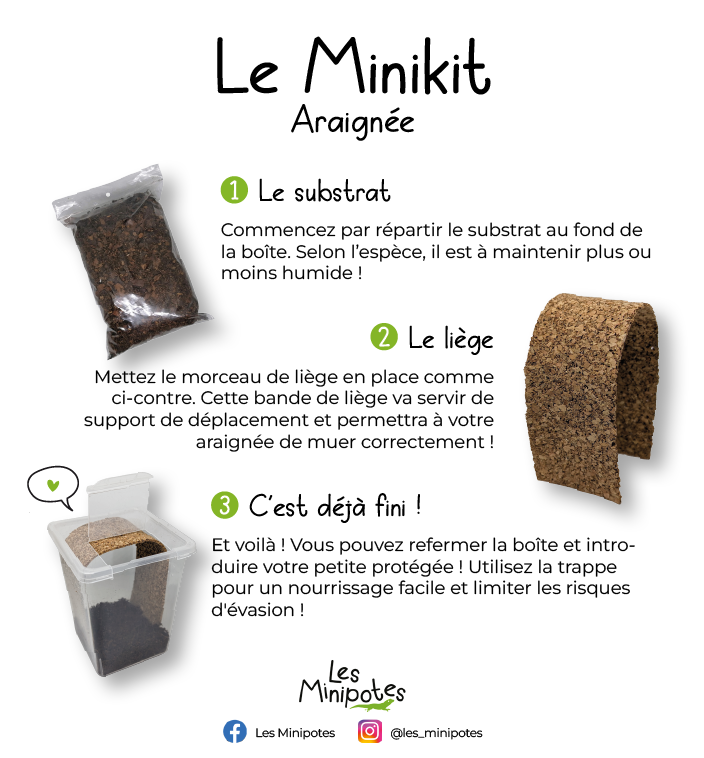 minikit_araignee-instruction