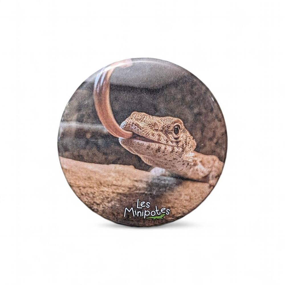 magnet-varanus-gilleni-56mm-minipotes