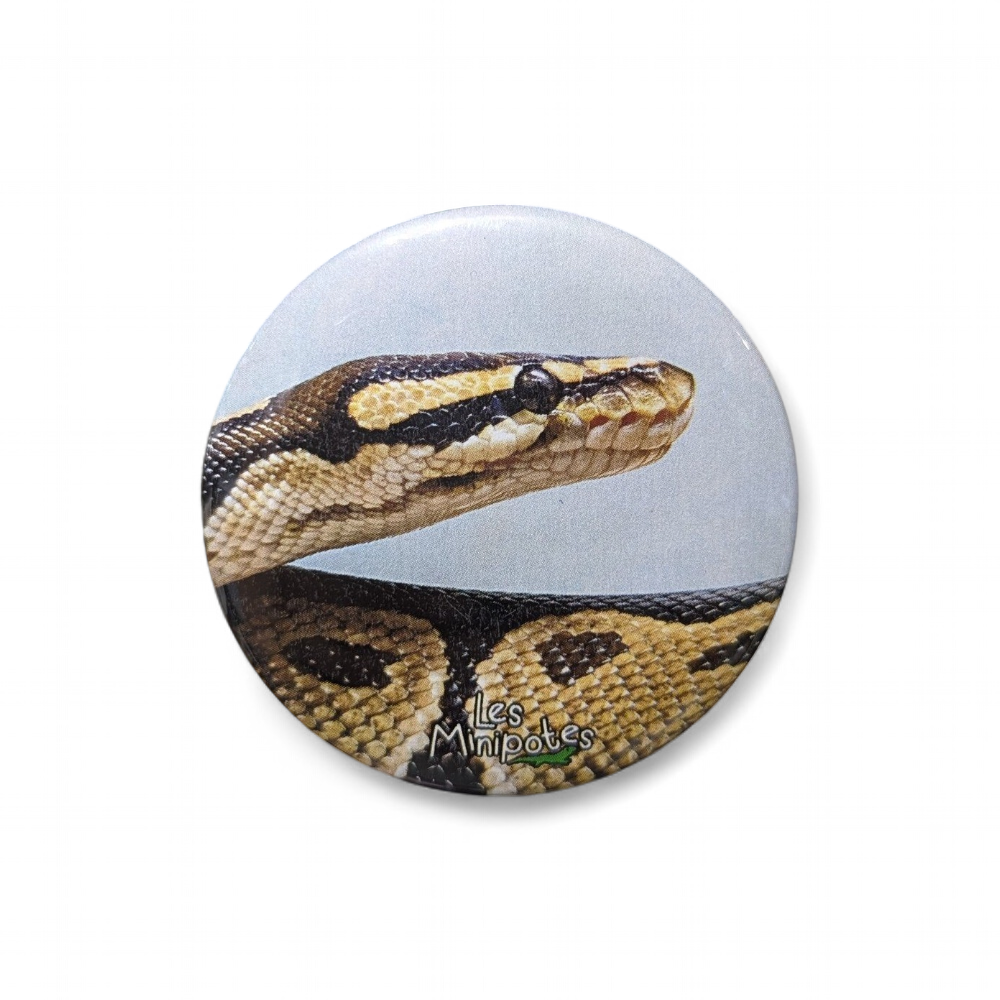 magnet-python-regius-56mm-minipotes