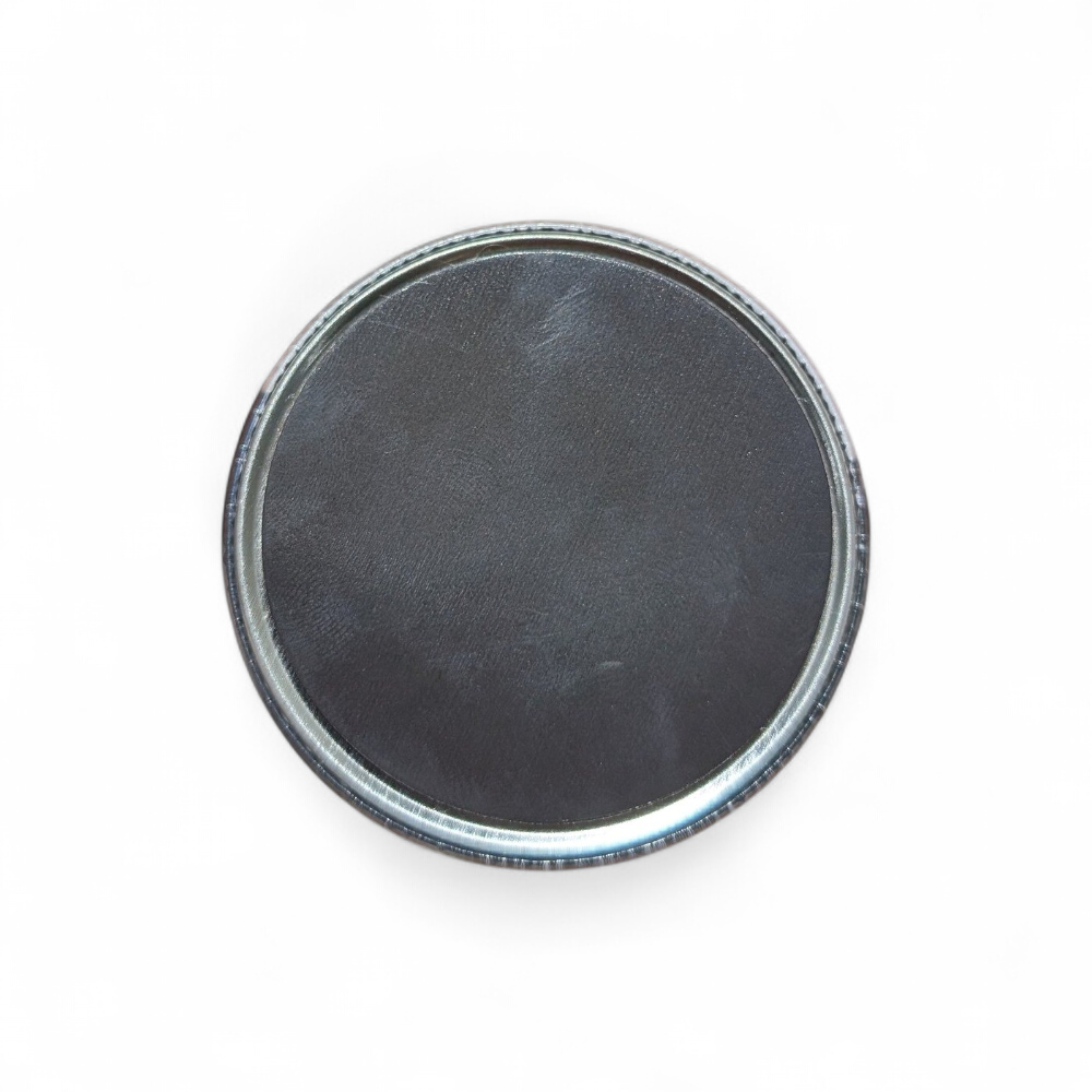 magnet-phidippus-regius-56mm-minipotes-arriere