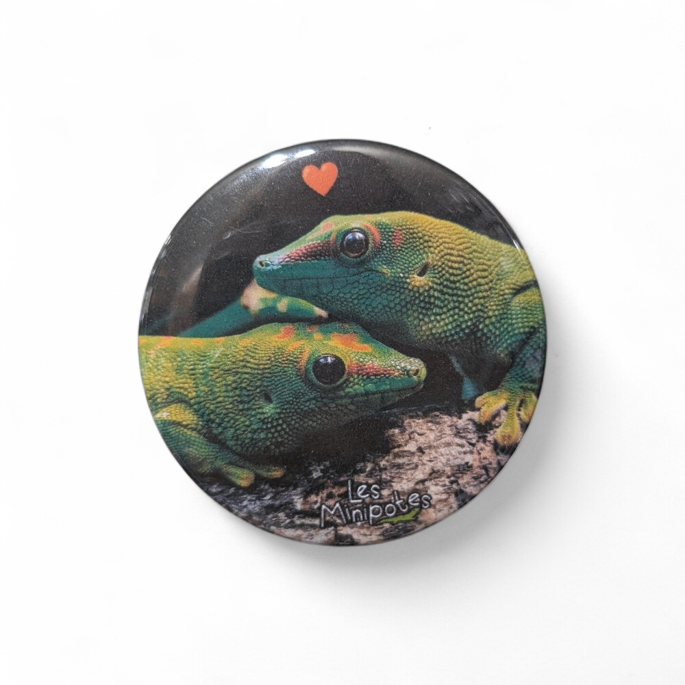 magnet-phelsuma-grandis-56mm-minipotes