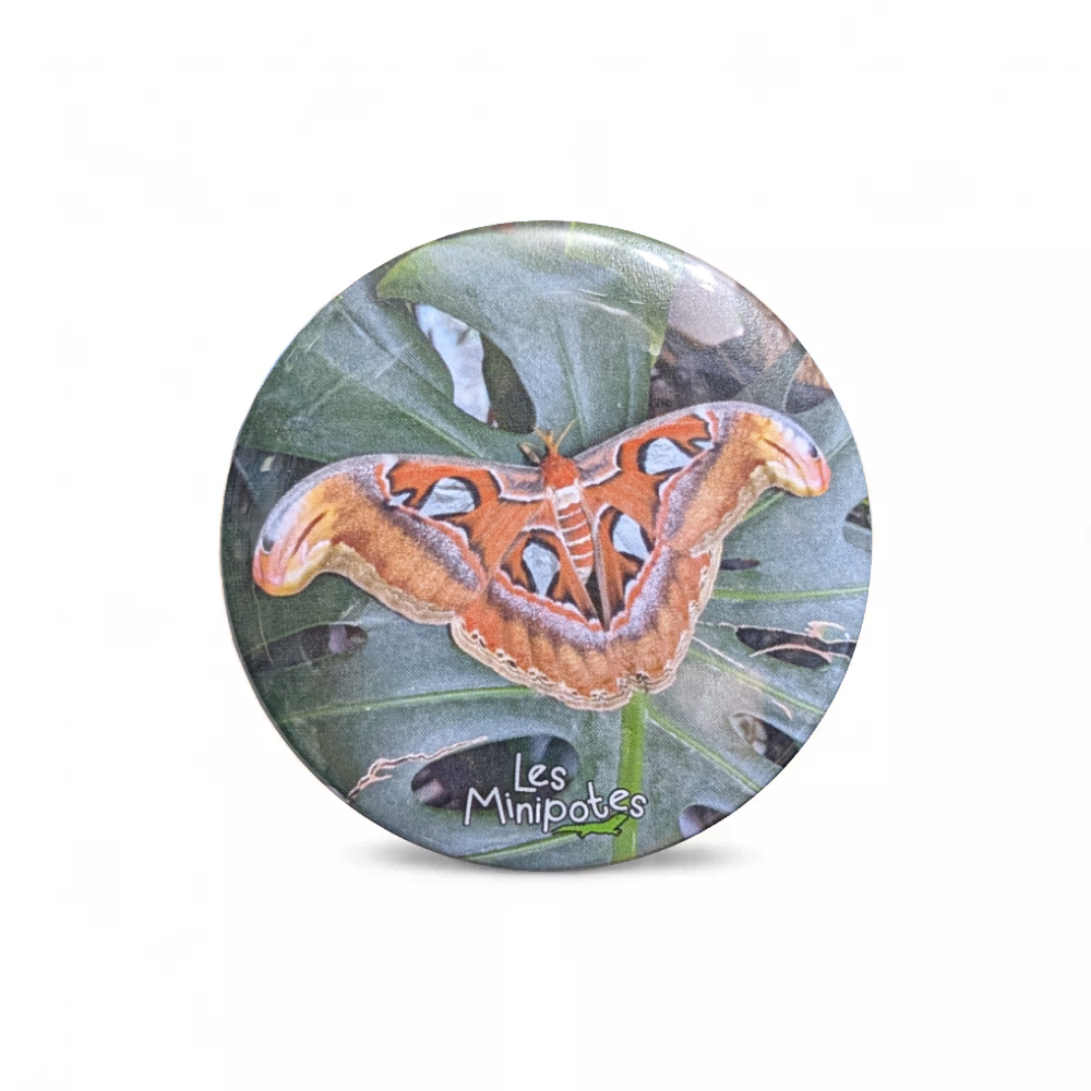 magnet_frigo-56mm-attacus