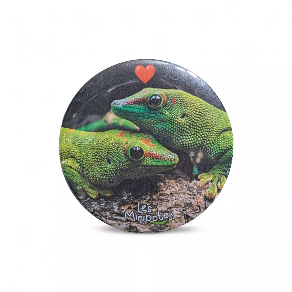 magnet_frigo-56mm-phelsuma