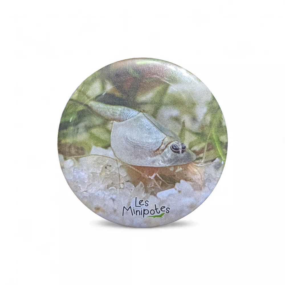 magnet_frigo-56mm-triops