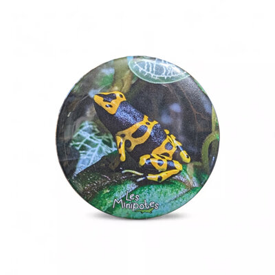 magnet_frigo-56mm-dendrobate