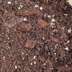 Substrat plantes