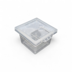 boite-d-elevage-araignee-s4
