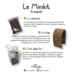 minikit_araignee-instruction