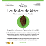 feuilles_hetre