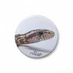 magnet-pantherophis-guttatus-56mm-minipotes