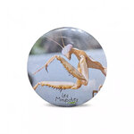 magnet_frigo-56mm-mante
