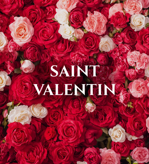 lilirose st valantin