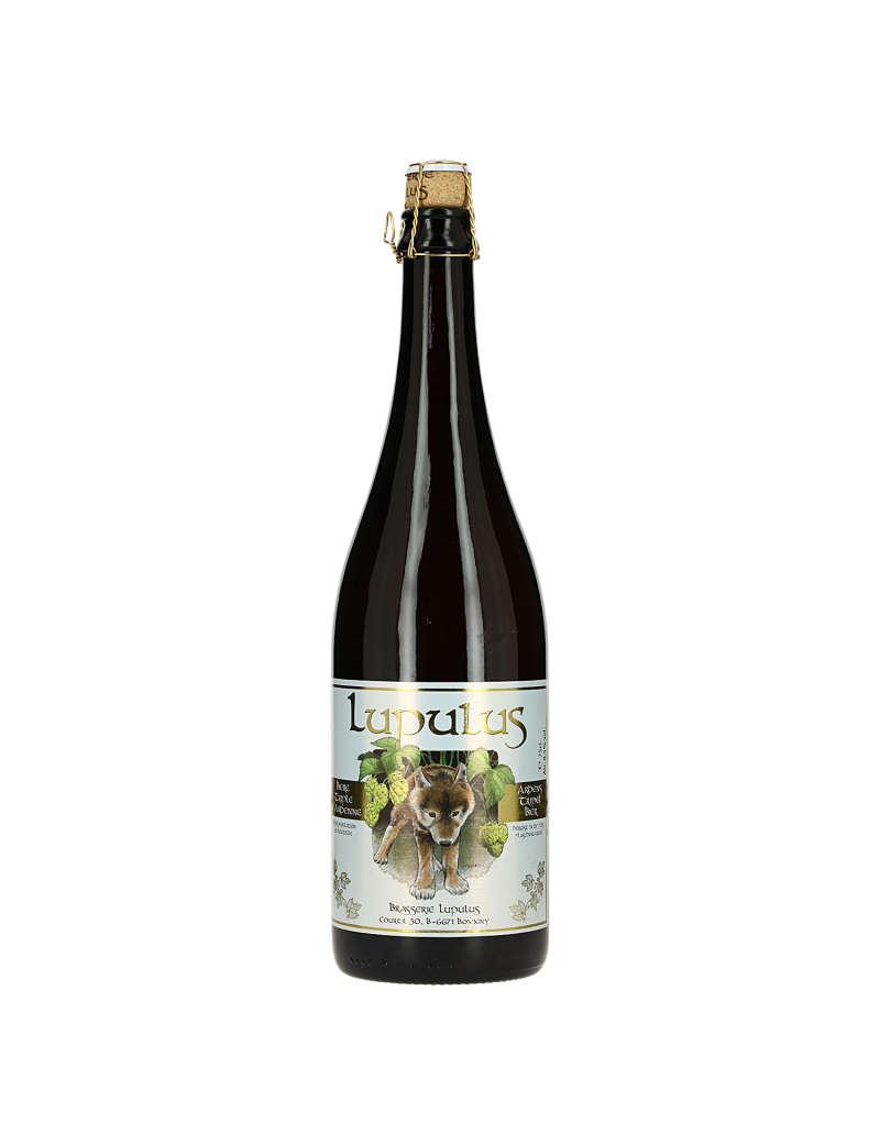 lupulus-blonde