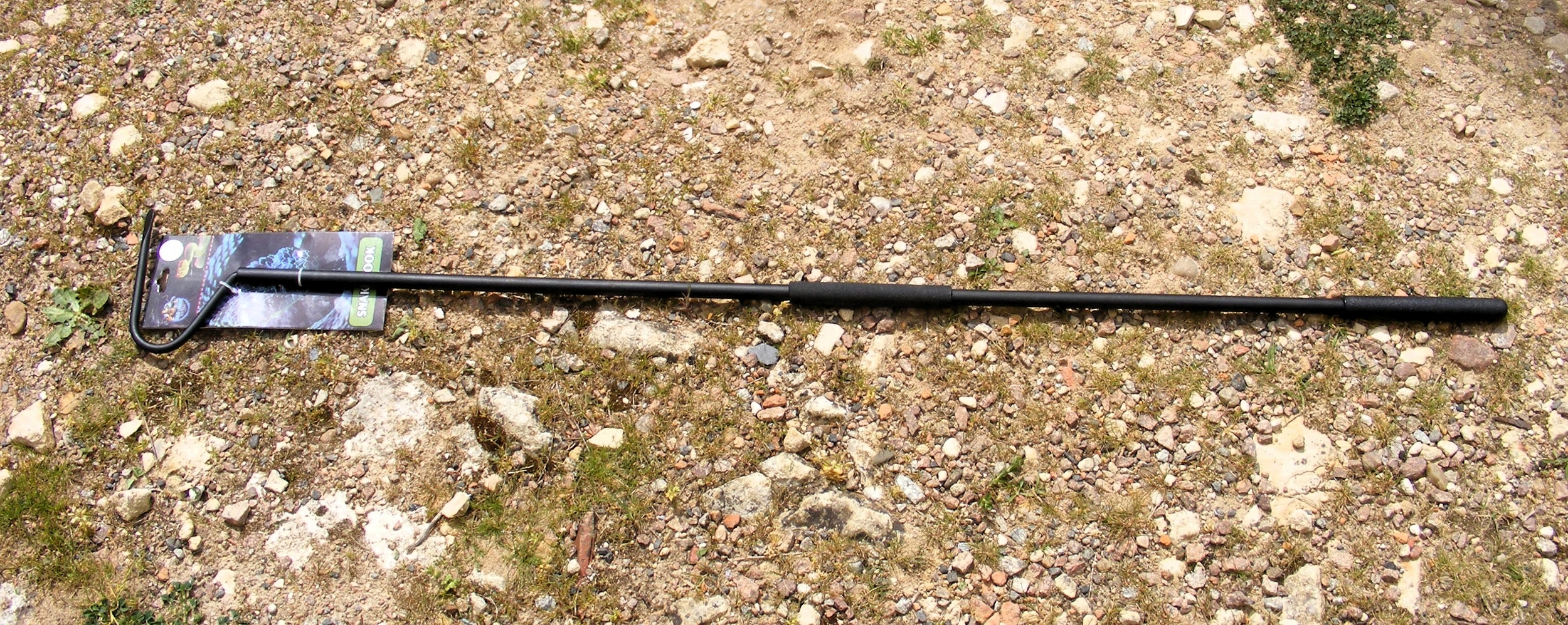 DSCF2740