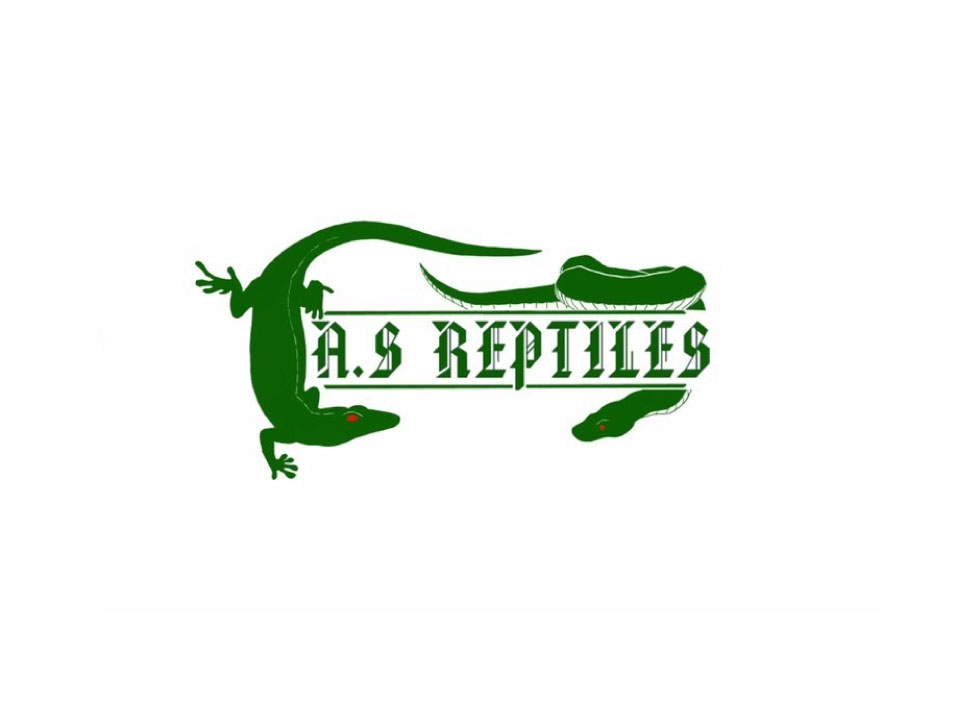 AS REPTILES