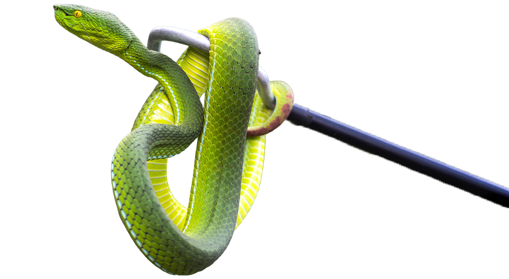 bloc crochets serpent